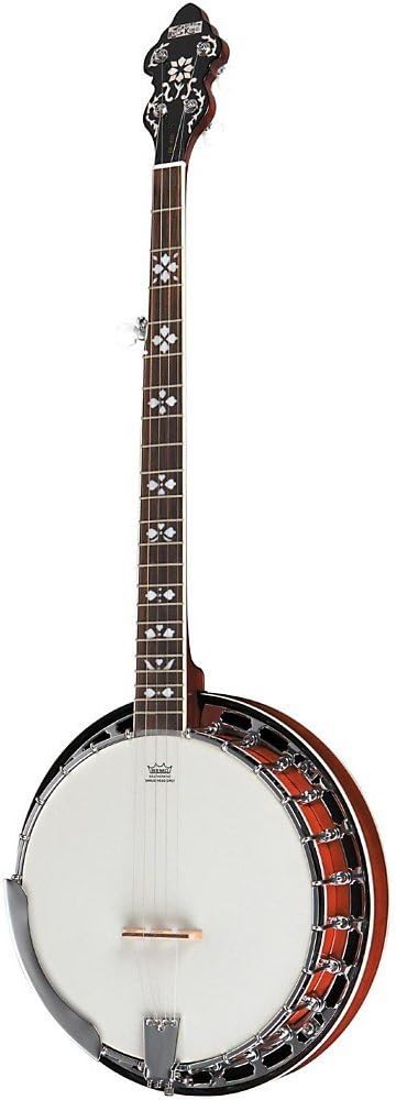 Recording King RK-R20 Songster Banjo