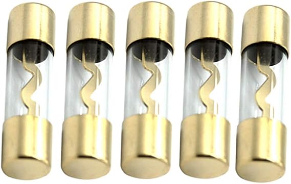 Etopar 5 X 100A AGU Fuse Car Auto Audio Power Safety Protect Glass Tube Gold Plated Radio