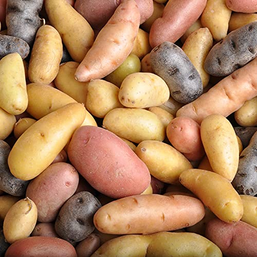 Melissas Fingerling Potatoes, 3 lb