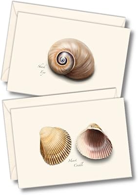 Earth Sky  Water - Seashell Assortment III Notecard Set - 8 Blank Cards with Envelopes 4 each of 2 styles