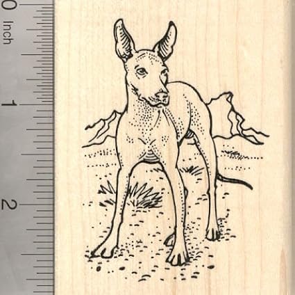 Xolo Dog Rubber Stamp, Mexican Hairless, Xoloitzcuintli