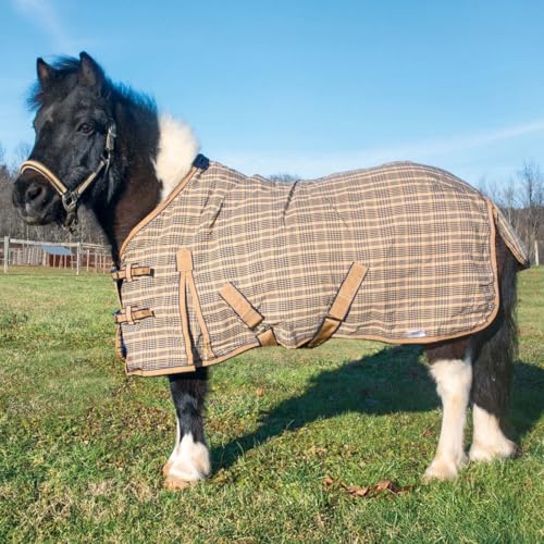 Country Pride Classic Plaid Stable Sheet, Miniature Horse Blanket, Adjustable Double Buckle Front, Bias Surcingles, Fleece Wither Protection, Shoulder Gussets & Tail Cover, Indoor Use 40