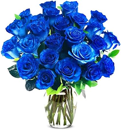 From You Flowers Two Dozen Blue Roses in Glass Vase - 24 Fresh Cut Flowers Delivered for Birthday, Anniversary & Unique Gifts