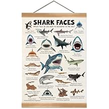 ZTGDA Shark Faces Posters, Sea Animals Sharks Posters Wall Art,Marine Sharks Decor,Ocean Educational Poster for Kid Classroom Decorations Kids Room Home Nursery Playroom (Shark face)