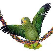 Super Bird Creations SB1156 Rainbow Rope Bridge Bird Toy for Parrots, Ringnecks, Conures, Quakers, Caiques, Senegals, African Greys - Multi-Colored Heavy-Duty Rope - Medium/Large Bird Size, 35 x 2