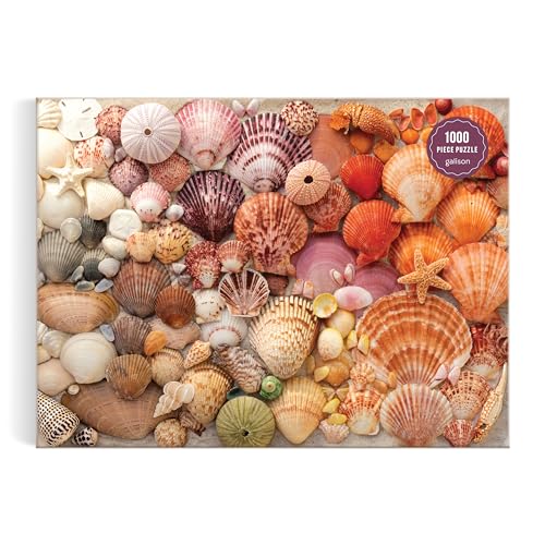 Galison Vibrant Seashells Christine Chitnis 1000 Piece Puzzle Featuring Chromatic Seashell Arrangement On Sand