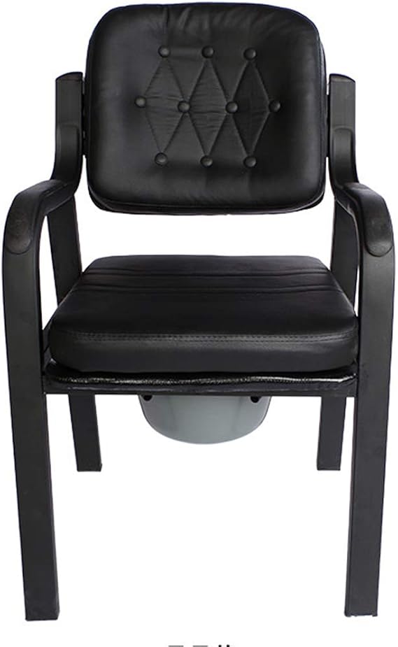 Dyale Deluxe Comfort Commode with Padded Seat Heavy Duty Bedside Commode Chair,Elderly Bathroom Safety Frame Toilet Seat
