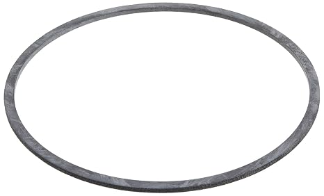 Pentair Pentek 143216 Buna-N Sealing Gasket for ST Series Housings
