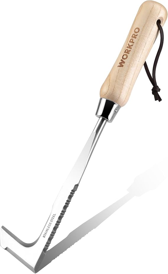 WORKPRO Crack Weeder, 12" Stainless Steel Crevice Weeding Tool with Ash Wooden Handle