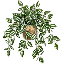 Briful Faux Plants Indoor 17.7in Fake Watermelon Peperomia Plant in Gold Pot with Realistic Silk Green Leaves Artificial Potted Plant for Home Office Table Shelf Desk Modern Room Decor