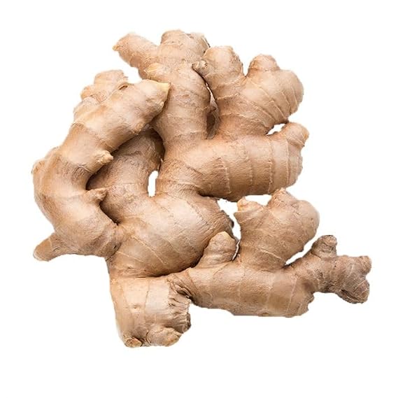 Fresh Jamaican Ginger Root Premium, Natural, and Versatile with Strong, Bold Flavor for Cooking, Tea, and More (1/4 Lb)