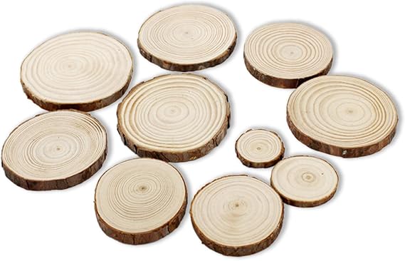 Natural Unfinished Wood Slices,60 Pcs Wooden Log Circles with Bark and No Hole Small Wooden Circles for Craft Tree Log Slice for DIY Arts and Crafts,Christmas Ornaments and Decorations