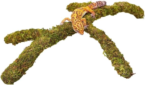 Leopard Gecko Tank Accessories, Adjustable Climbing Toys Supplies, Terrarium Habitat Decor
