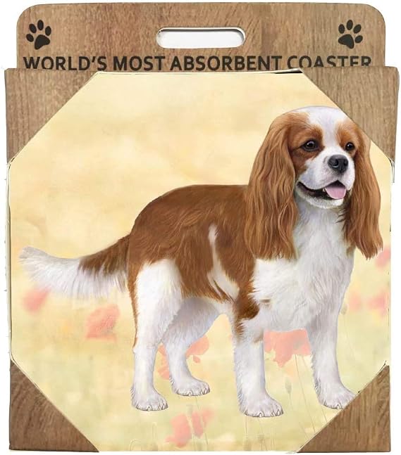 Cavalier King Charles Absorbent Stone Coaster - Cork Back helps prevent scratches on furniture - No more Water rings on Furniture