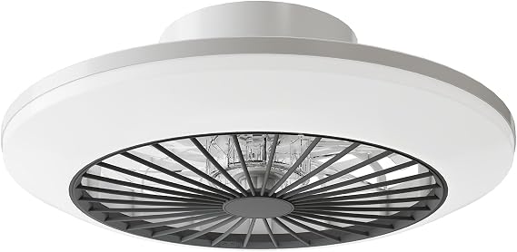 45.5CM LED Ceiling Fan with Light, 6 Levels Wind Speeds, Stepless Dimming, Modern Fan Lighting for Living Room, Dining Room, Bedroom, Office, 3000-5500K [Energy Class C]