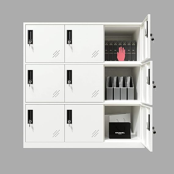 MECOLOR-Steel Office Locker Cabinet with Keys, School and Home Storage Locker Organizer,Locker for Cloth and Toy Organizer,Living Room Boy and Girl Metal Storage Locker Cabinet (9D)