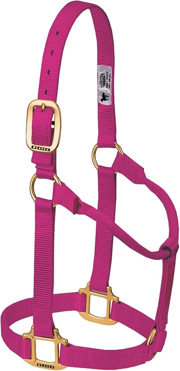 Weaver Leather Supply Original Non-Adjustable Nylon Horse Halter Durable Nylon, Designed for Horses, Average Size, Reliable and Comfortable Fit