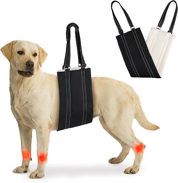 Adjustable Dog Lifting Harness for Large Dog, Dog Sling for Back Legs (L)