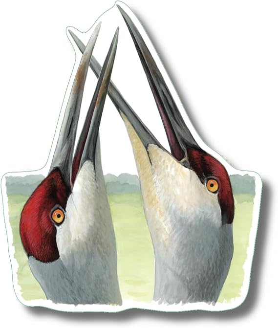 Earth Sky + Water - Sandhill Cranes - 3.5_ Sticker
