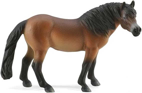 COLLECTA Exmoor Pony Stallion