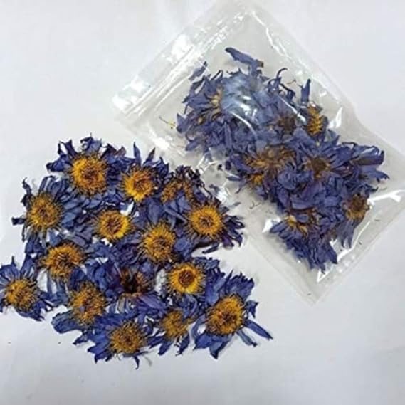 Dried Flower Egyptian Natural Blue Lotus Lotus Lotus Herbal Tea and Flower Material Handmade Craft Set