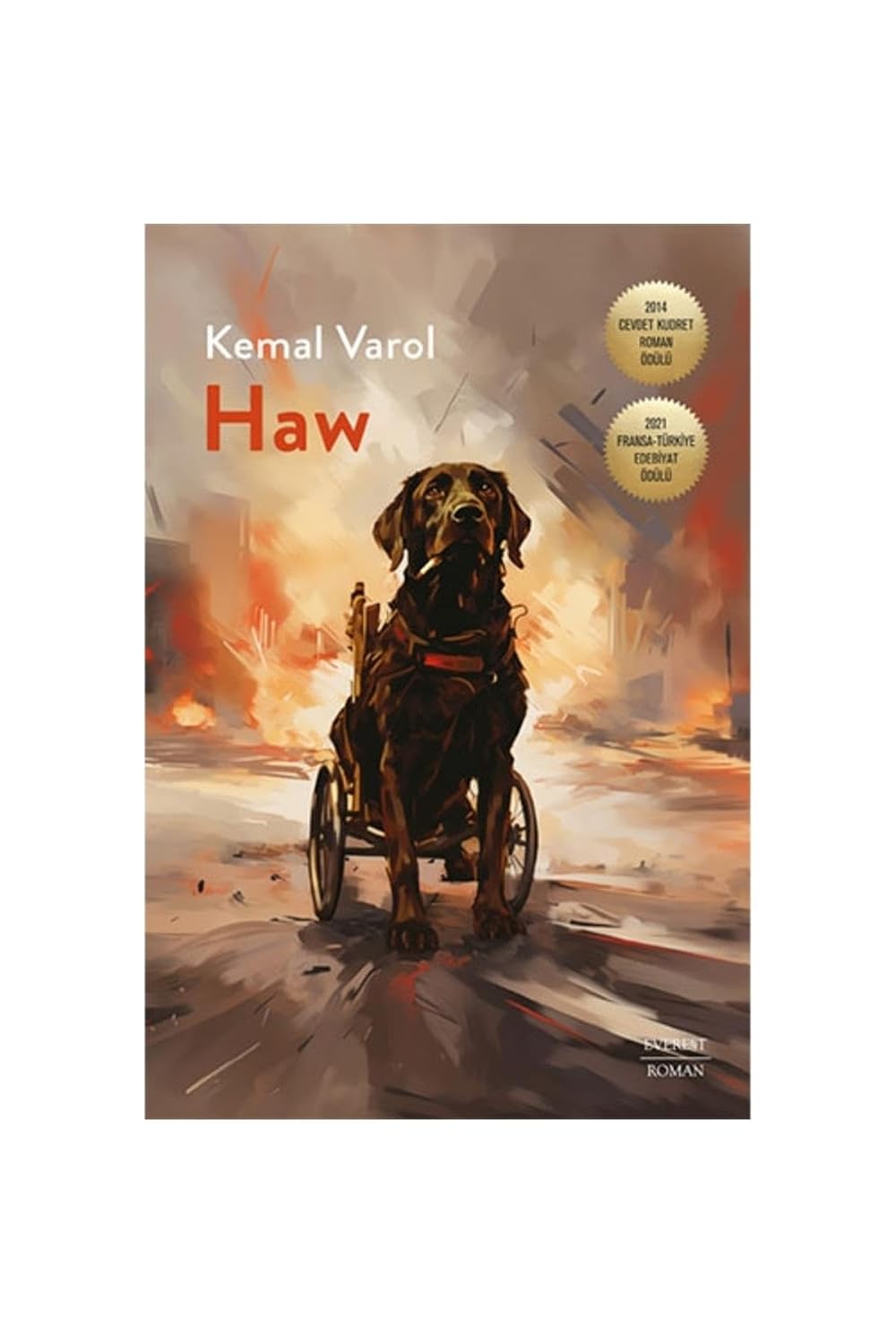 Haw Kağıt Kapak – 15 Aralık 2023