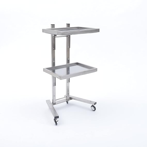 Salon Tray Beauty Cart,Hair Salon Trolley Tray with Mobile Wheels,Collapsible Tattoo Tray Salon Storage Stand with Leather,Beauty Tools Organizer with 2 Casters (Silver)