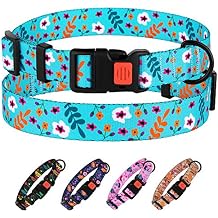Nylon Dog Collar Floral Pattern Aquamarine 12-16 inch