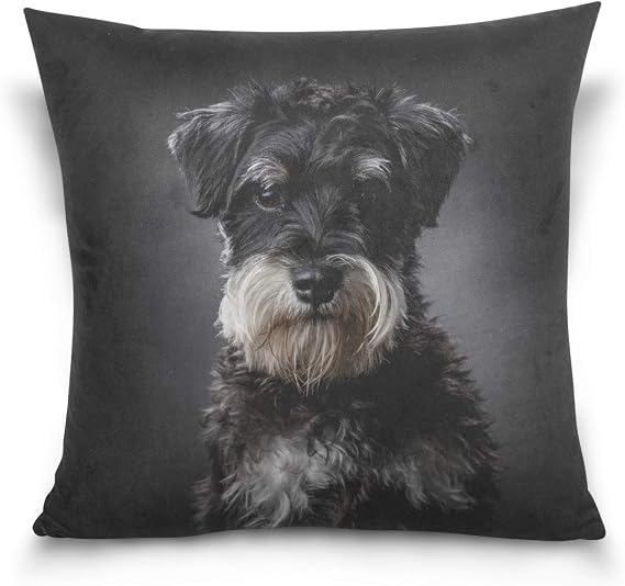 Hokkien Schnauzer On Dark Grey Background Decorative Square Throw Pillow Case Cushion Cover for Sofa Bedroom Car Double-Sided Design 16 x 16 inch