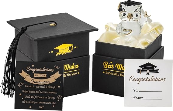 Suprano Graduation Gift Crystal Glass Owl Present Graduation Gifts for Her/Him, Keepsake Ornament In Massage Box