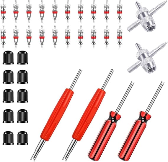 Riseuvo 36Pcs Tire Valve Stem Removal Tool Kit
