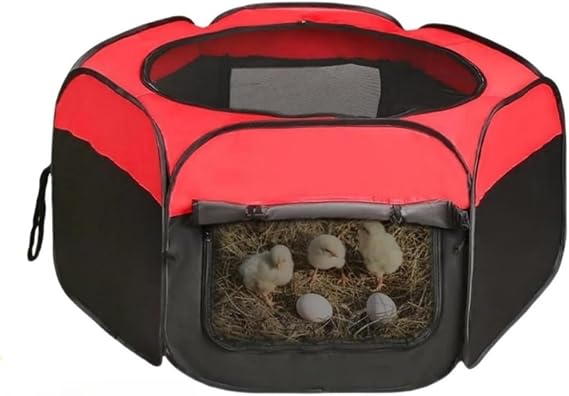 Chicken Brooder Box,Upgrade Double Door Brooder Box Starter Brooder Kit Pop-Up Chicken Supplies Brooding Up to 15 Baby Chick, Duck and Quail