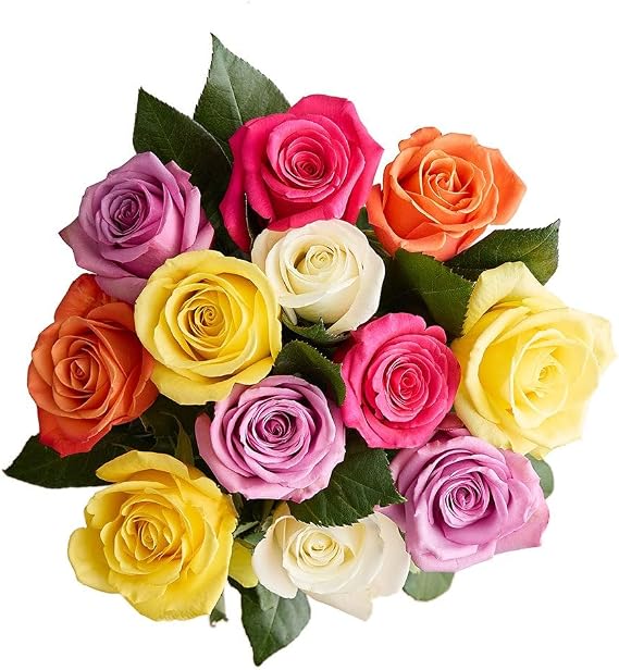 1800 Flowers - 24 Stem Assorted Roses Bouquet Only, Fresh Flowers