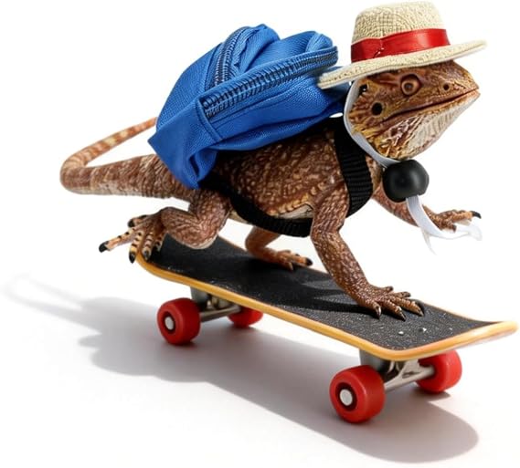 Bearded Dragons Accessories Toy Clothes 3 Pack Lizard Backpack Adjustable Hat and Mini Skateboard Fit for Lizard Bearded Dragons Hamster Parrot Little Turtle Reptiles Small Animals