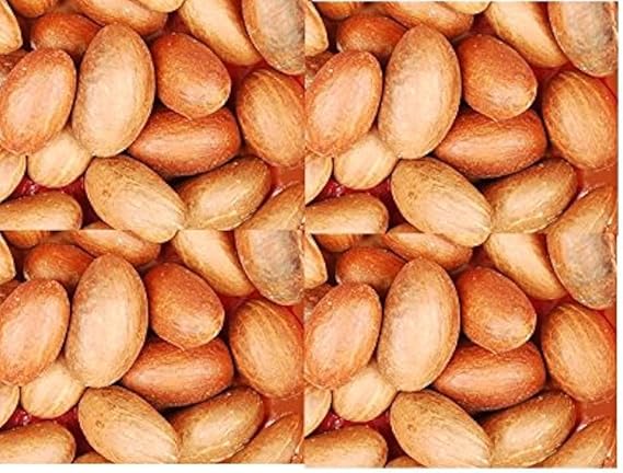 Bitter Kola I Garcinia kola I 300G