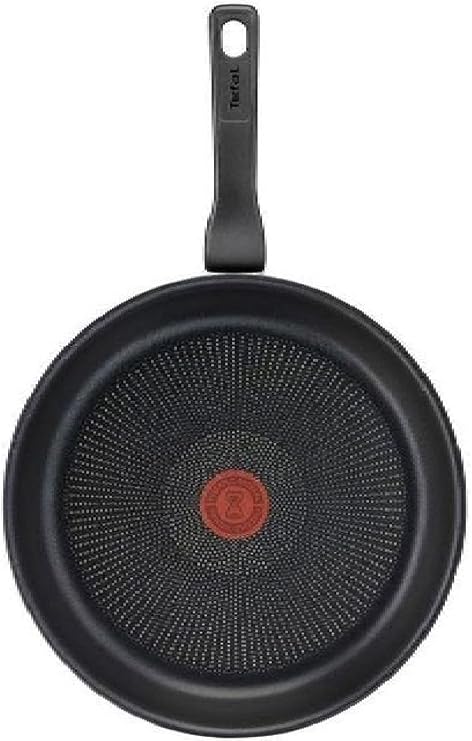Tefal Titanyum 3x Force Tava 24 Cm 2100134005