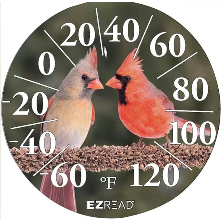 E-Z Read 840-1211 Ezread Dial Deer Thermometer, 12.5"