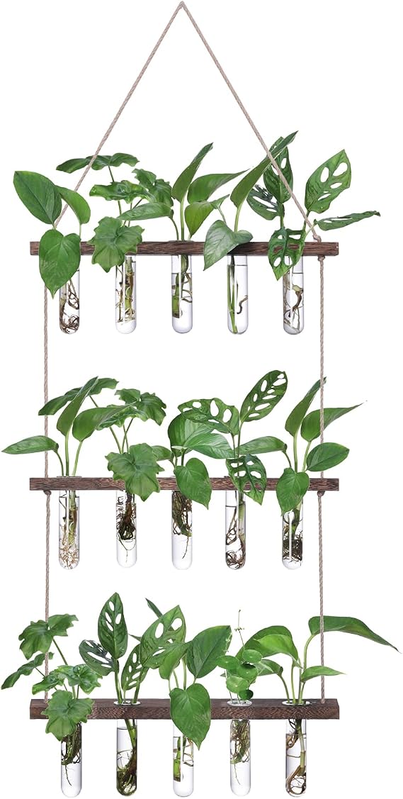FLOWER Wall Hanging Propagation Station with 3 Tiered Wooden Stand 15 Test Tubes Flower Vase Glass Planter Stations for Home Office Decor Hydroponic Plant Cuttings Lover
