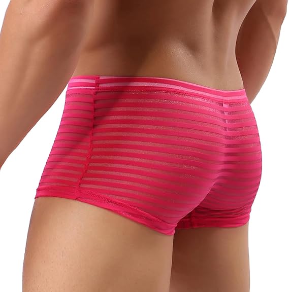 Faringoto Men's Boxer Shorts Panties Mesh Sheer Stripes Underwear Sexy Transparent Underwear
