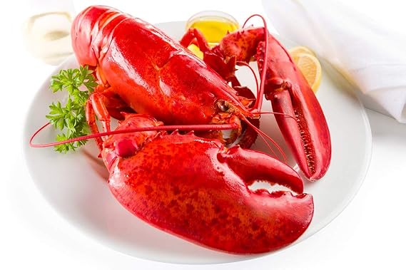 Maine Lobster Now - 2.5 lb Live Maine Lobster (4 Pack)