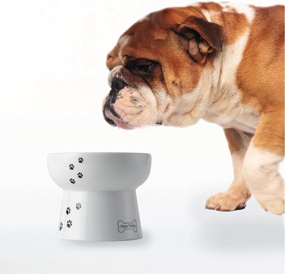 Necoichi Raised Dog Water Bowl, Elevated, for dogs and cats, pets feeding feeder Non-slip for small dogs Dishwasher and Microwave Safe, No.1 Seller in Japan! (Dog, Water Bowl)