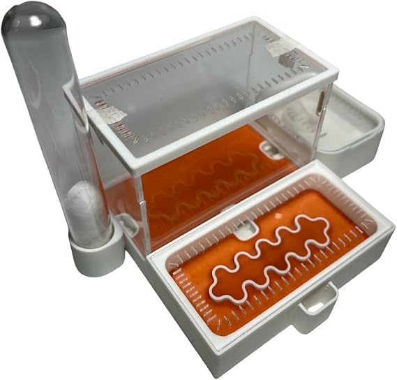 Mini Starter 3D Printed Ant Farm