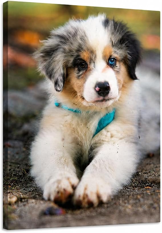 PicPrint 16x20 Photo Canvas Print (Portrait) | Add Your Photos | Personalized For You. Made in the USA by Fujifilm.