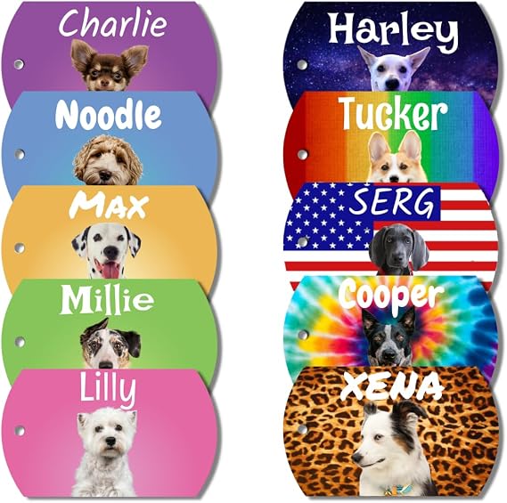 PawFurEver - Personalized Photo & Name Tags - Cat & Dog ID Tags - Stainless Steel Custom Dog Tags for Collar
