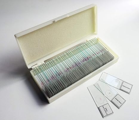 PS112 Mammalian Histology Slide Set