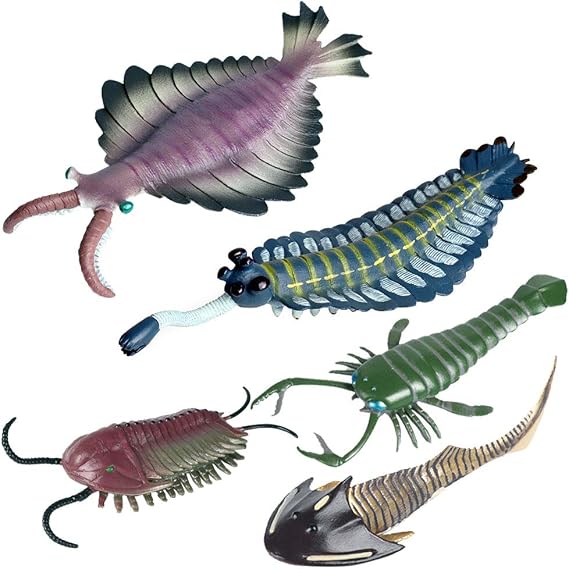 FLORMOON Animal Figures 5 pcs Realistic Plastic Cambrian Ancient Organism Set Includes Anomalocaris, Opabinia, etc. Science Project, Learning Educational Toys, Birthday Gift for Kids Toddlers