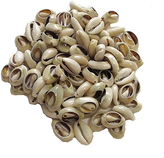 100 Pcs White and Lvory Natural Cowrie Shells Beads, Oval Beach Seashells African Shells for Hair Jewelry Making DIY Craft Beading Supplies