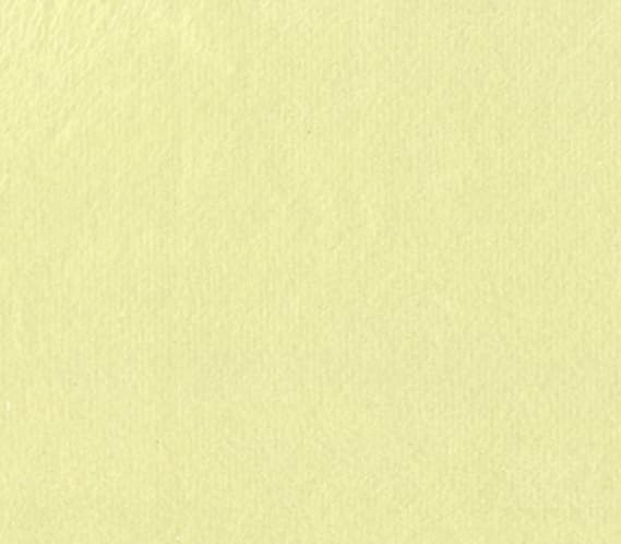 Minky Solid Blanket Fabric 60" Wide Sold By The Yard (Banana)