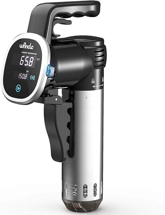 Wancle Sous Vide Precision Cooker Immersion Circulator, Black-Classic