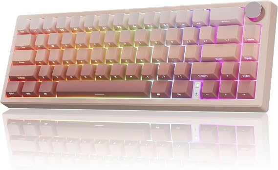 RisoPhy 60% Wireless Mechanical Keyboard, 2.4G/USB-C/Bluetooth Gaming Keyboard with LED Backlight/Gasket Mount/Red Switches/Metal Knob/Software